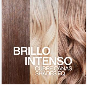 Retoque de Raíz Redken